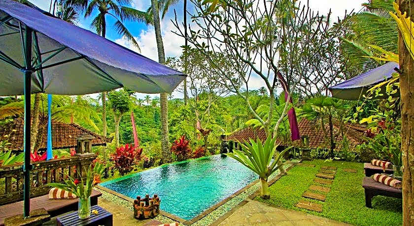 The Mahogany Villa