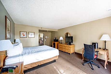 King Room -  Pet Friendly/Non-Smoking