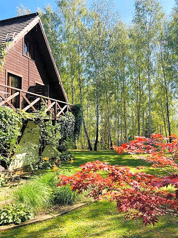 Modryna - Modrzewiowy Dom