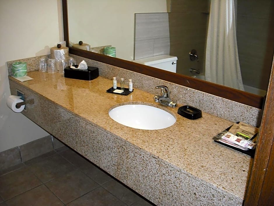 AmericInn by Wyndham La Crosse Riverfront-Conference Center