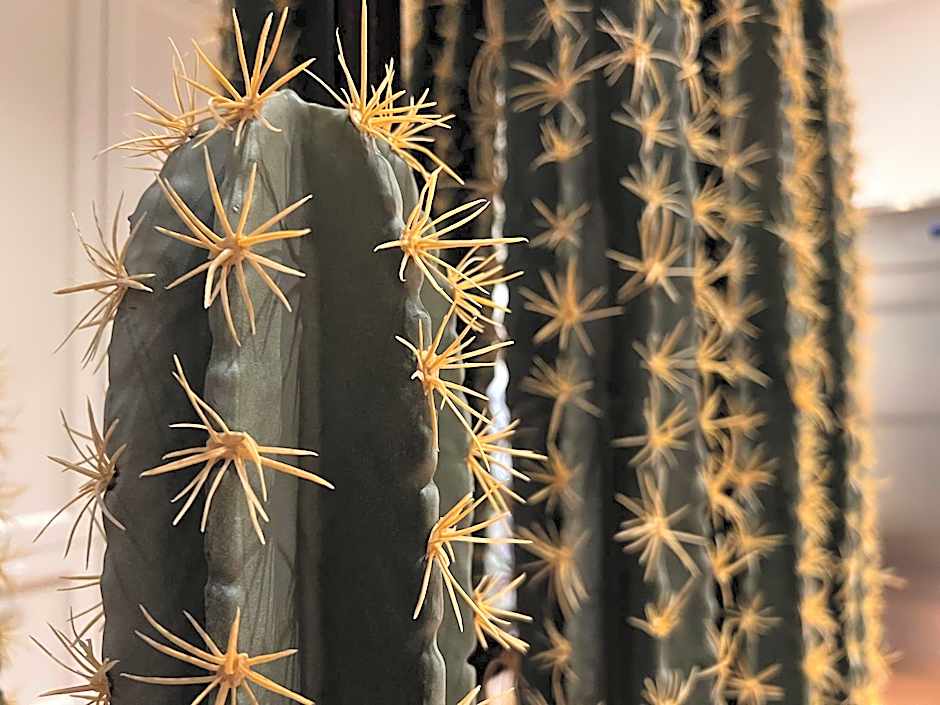 Porta Nera Private Living - adults only