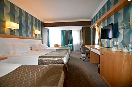 Deluxe Triple Room