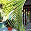 Gastello Inn Tulum