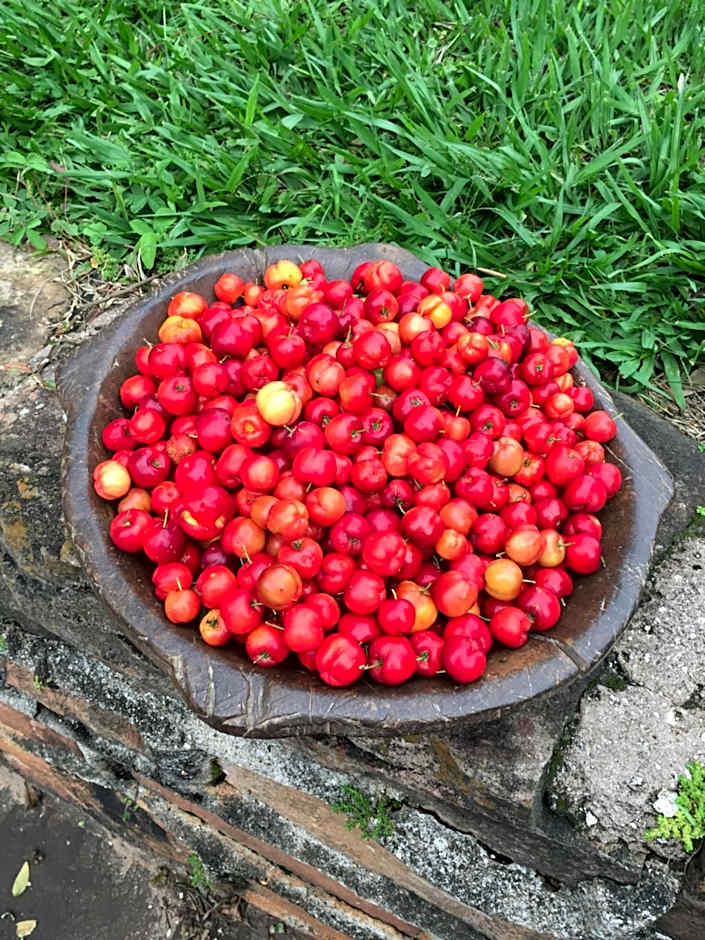 Pousada Fazenda Pinhalzinho
