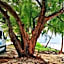 Xcalak Caribe Lodge