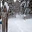 Etoile des Neiges