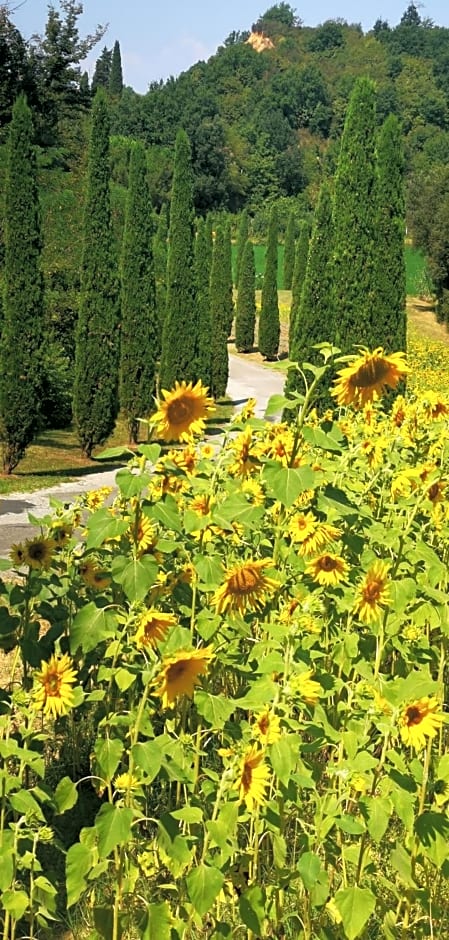 Agriturismo Cascina Cipressa