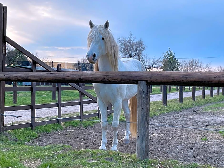 La casa di Celeste B&B