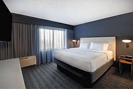 One-Bedroom King Suite with Balcony and Sofa Bed
