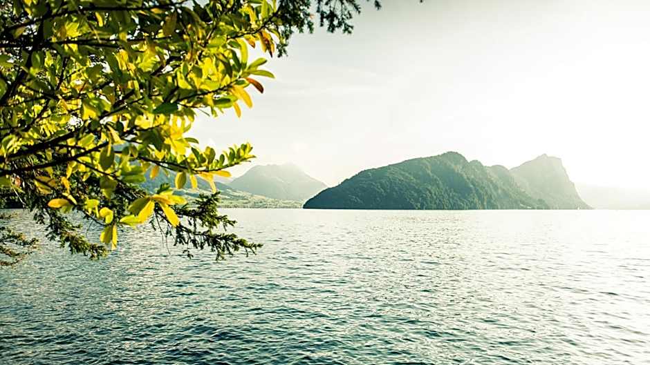Hotel Vitznauerhof - Lifestyle Hideaway at Lake Lucerne