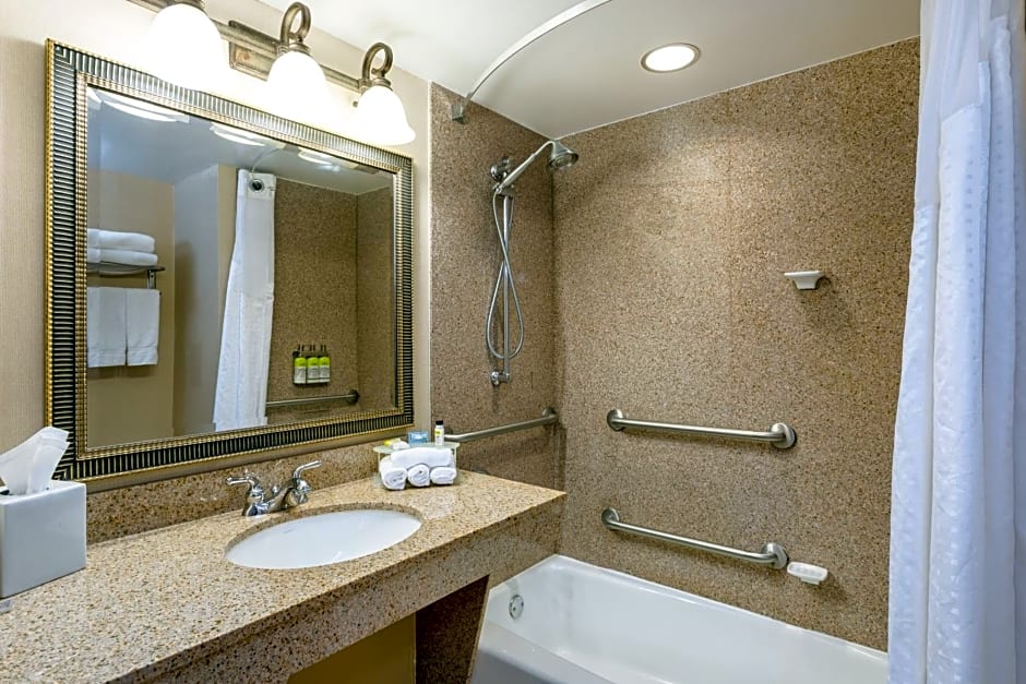 Holiday Inn Express & Suites Bradenton East-Lakewood Ranch