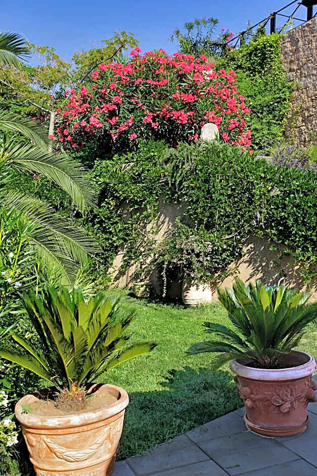 Best Western Plus Hotel San Damianu