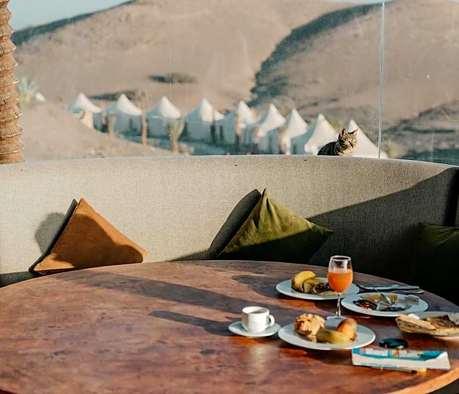 The White Camel Camp - Agafay Desert Activities