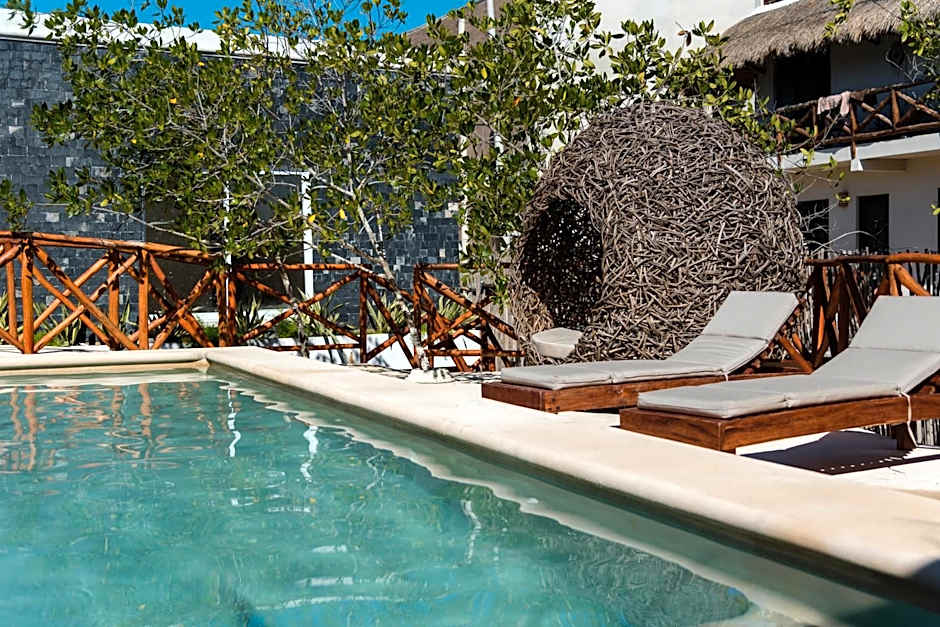 Sanyama Holbox