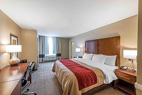 1 King Bed  Suite  No Smoking  Accessible Room