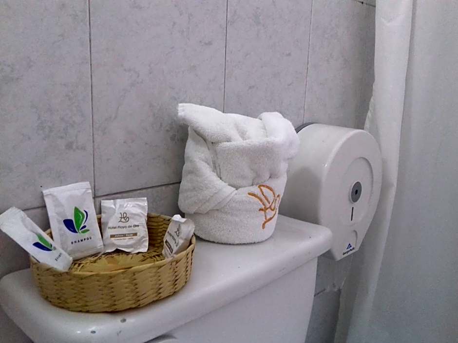 Hotel Playa de Oro - Enfrente de WTC y Plazas Comerciales