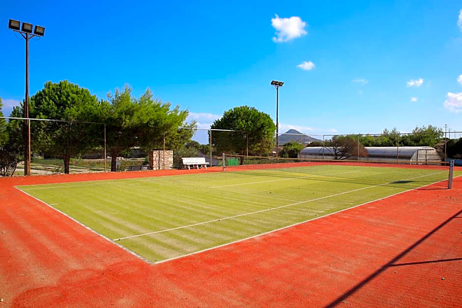 Asteras Paradise Hotel