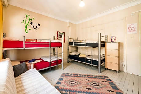 Single Bed in Mixed Dormitory Room
