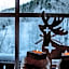 Hotel & Restaurant Grüner Baum - Die Grüne Oase Am Feldberg
