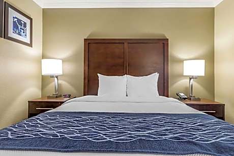 Standard Room, 1 Queen Bed, Non Smoking