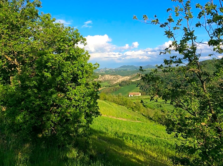 B&B Villa Rossana