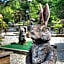 Foxhunt at Sapphire Valley