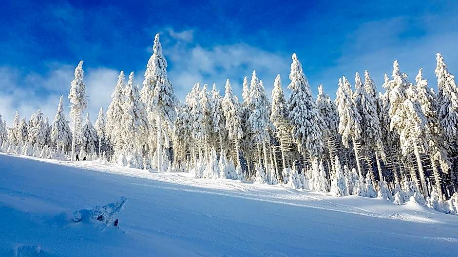 Kosówka Czarna Góra
