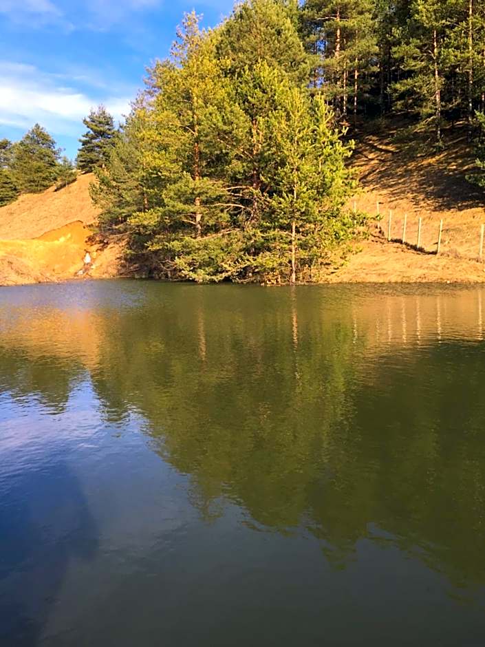 Park Hotel Eagle Stone