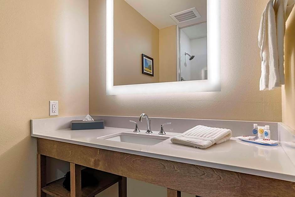 Comfort Inn & Suites Downtown near University