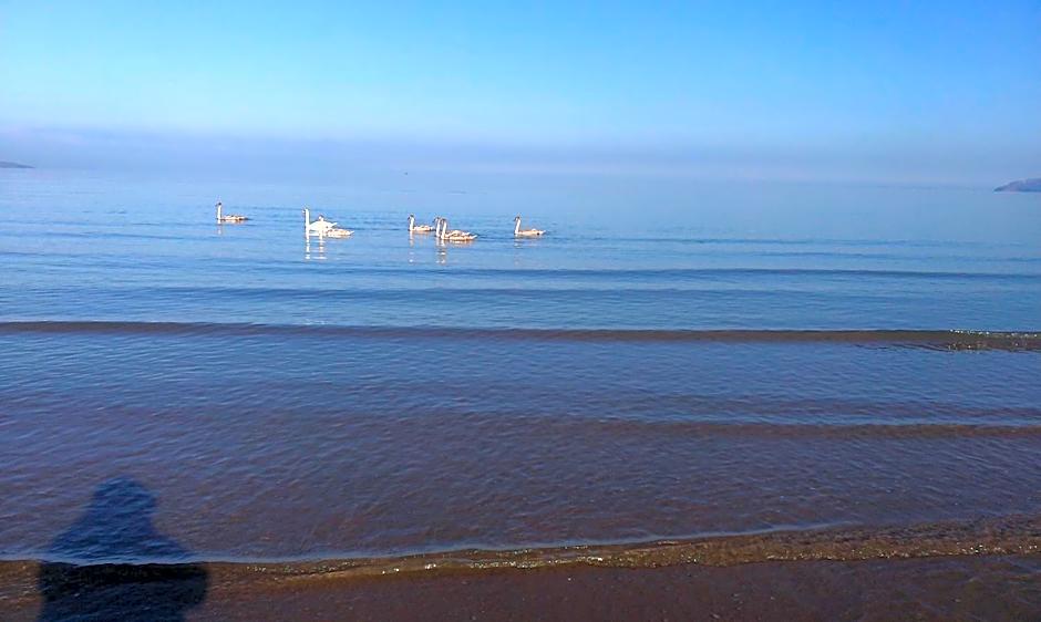 Min y Don Guest House