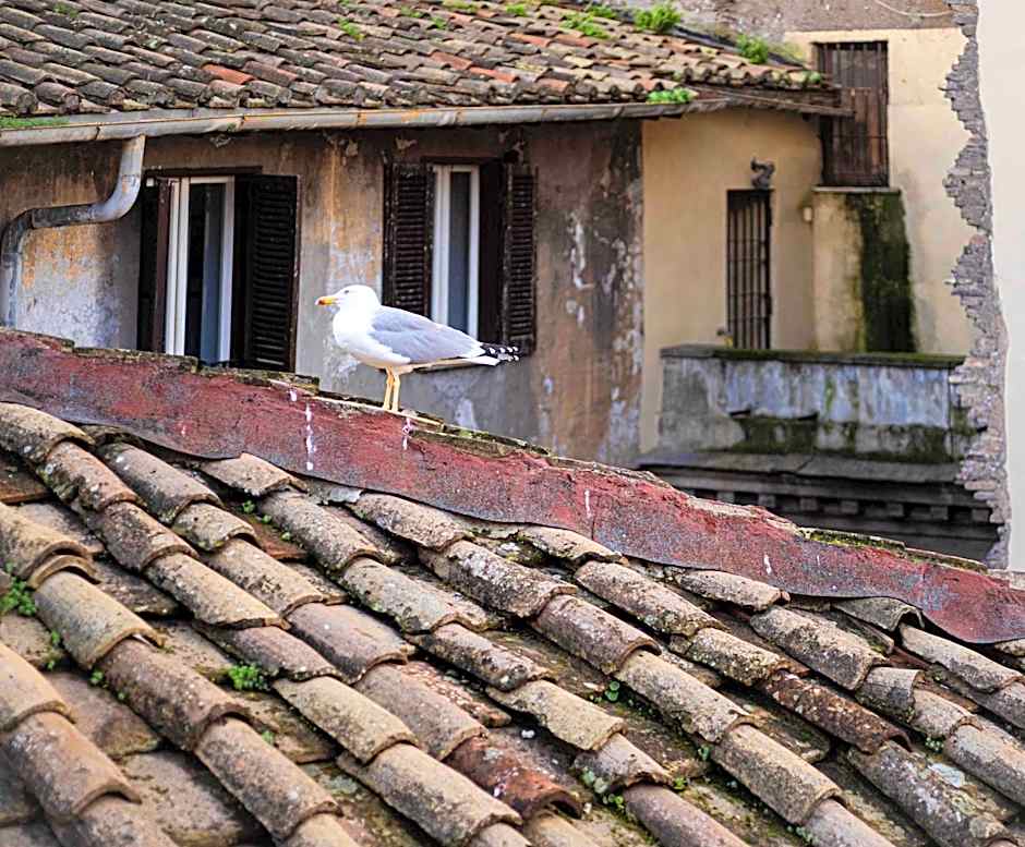 Casa De' Fiori