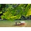 River Side Arashiyama - Vacation STAY 86277v