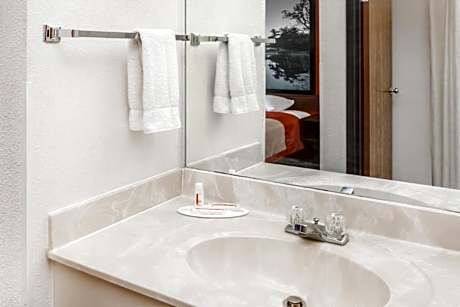 1 Queen Bed Non-Smoking