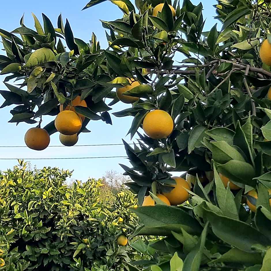 Gatehouse Entrecolinas