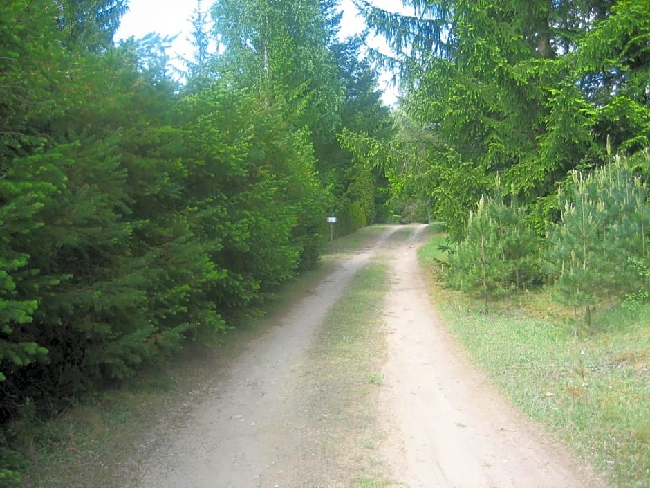 Dom letniskowy POŚRÓD KASZUBSKIEGO LASU