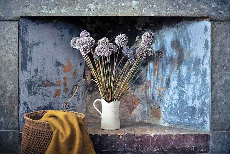 Les Sardines aux Yeux Bleus Chambres d'Hôtes