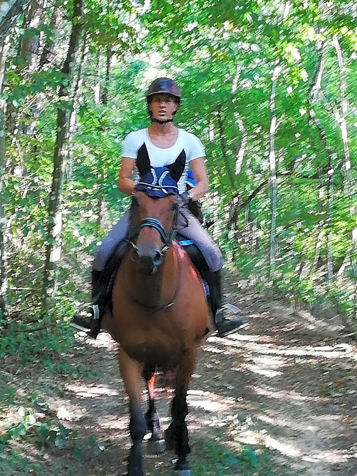 Chambre d'hôte équestre Au petit bonheur