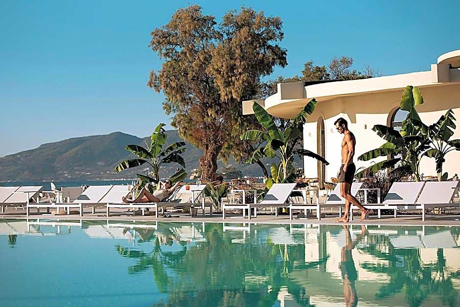 Domes Aulus Zante, Autograph Collection