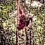 Gino's Place - Guest House & Jungle Trekking