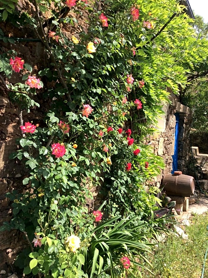 Guest Room Agro-turismo Quinta da Fonte Bed&Breakfast