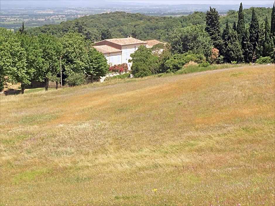 Domaine De La Petite Tour