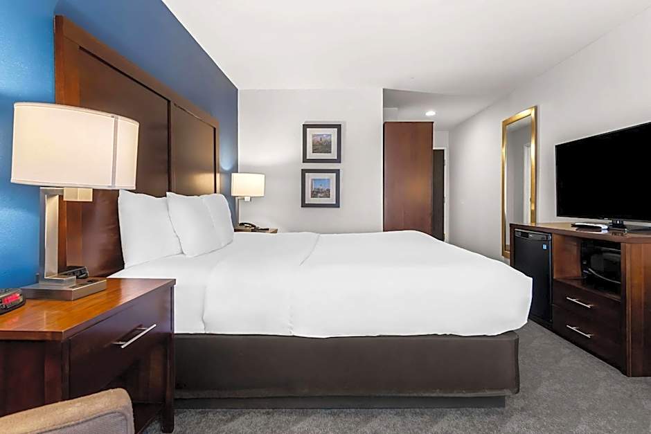 Comfort Inn & Suites near Tinley Park Amphitheater