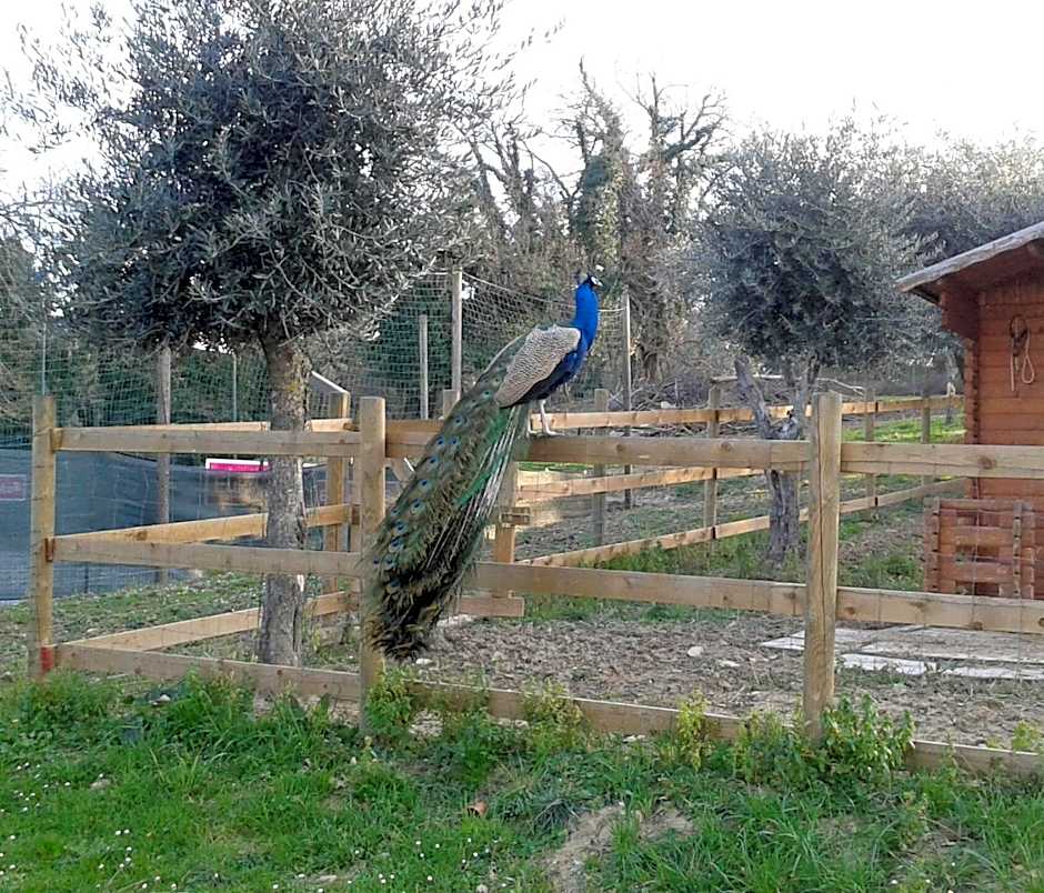 Garden Village San Marino