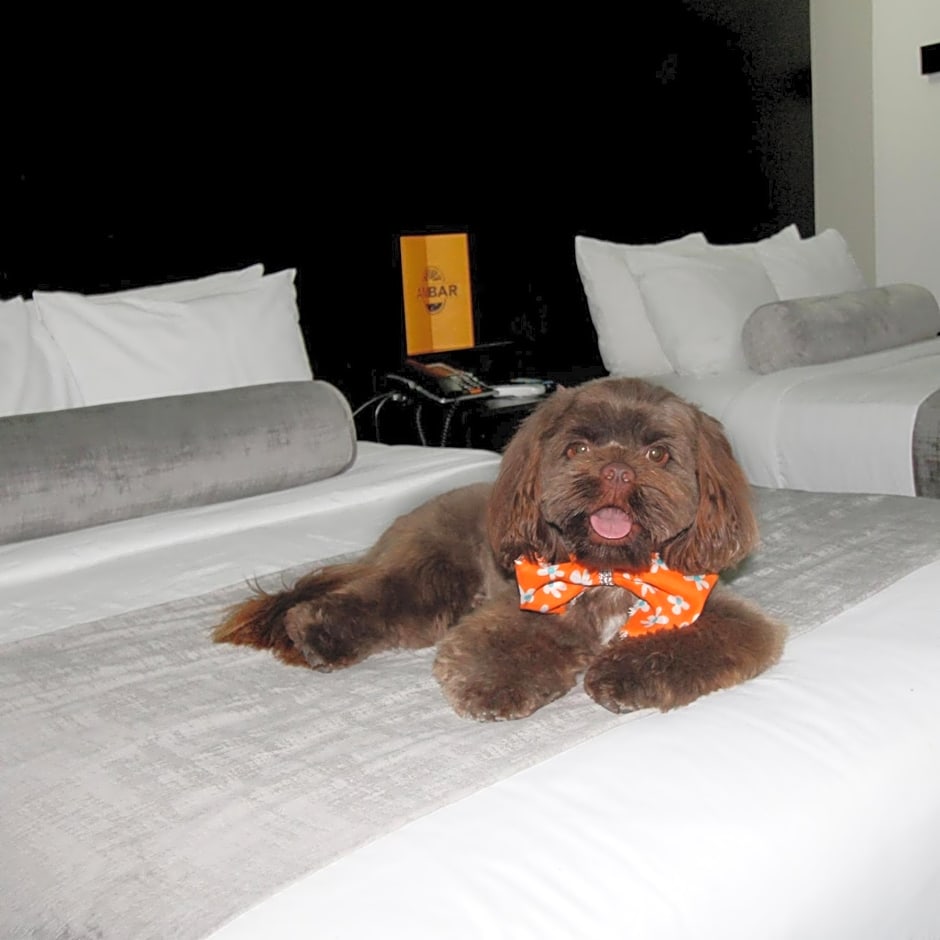 Stay Inn Hotels