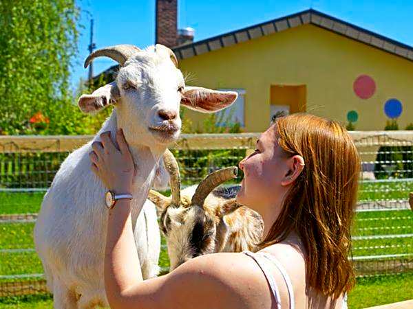 Bed & Breakfast Eckwirt