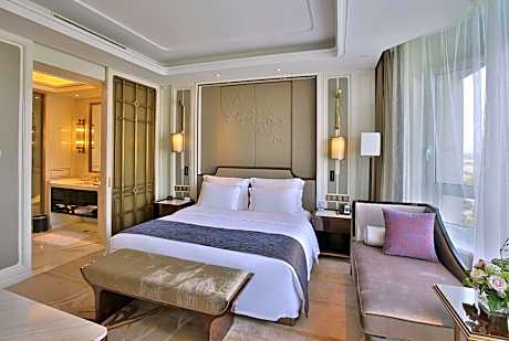 Elegant Suite with king Bed