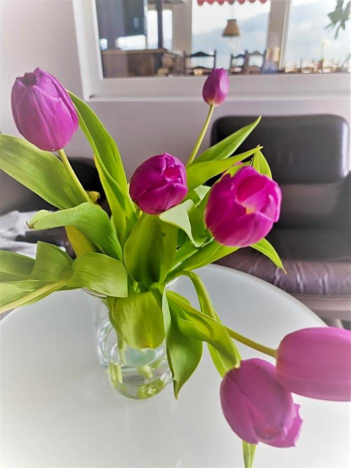 Hotel Kurhaus Uhlenberg