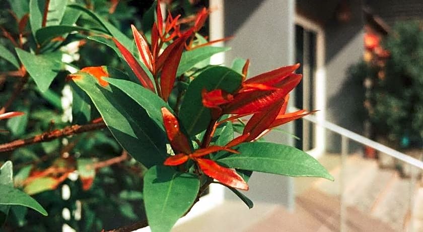 Boutique Family Room Phitsanulok