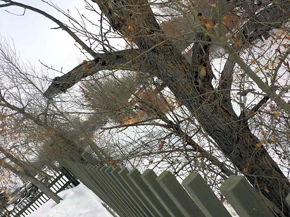 Riverside Motel Cache Creek