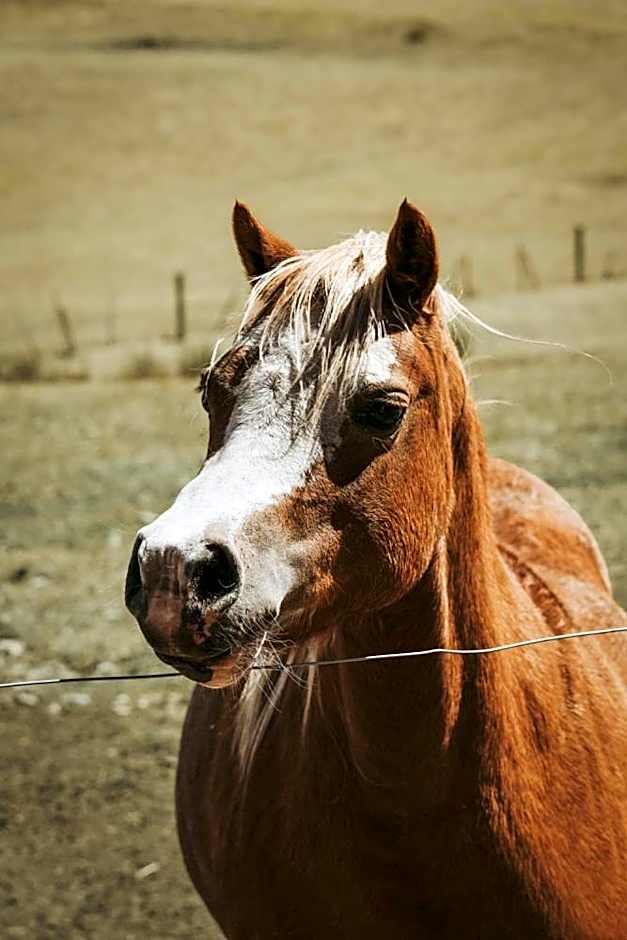 Iron Creek Bay Estate